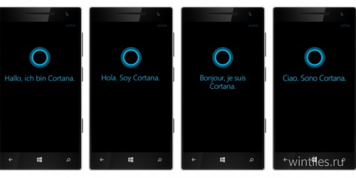 Cortana   , ,   